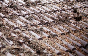 Quartley roof cleaning companies