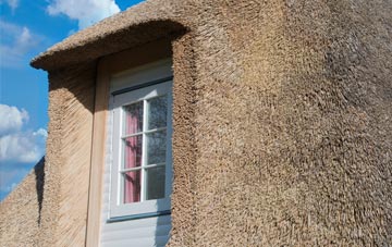 Quartley thatch roof disadvantages