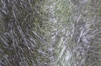 Quartley fibreglass roof work